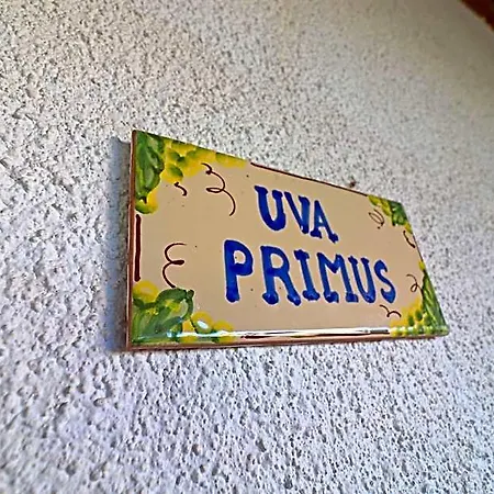 Apartment Casa Primus Torre Santo Stefano In Otranto